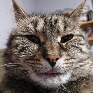 Meet your Posher, Stan